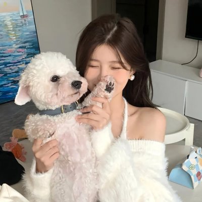慈膳救援